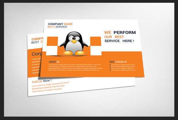 penguin-company-postcard-free-psd-template