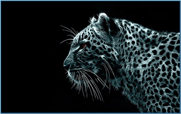 cool mac screensavers snow leopard