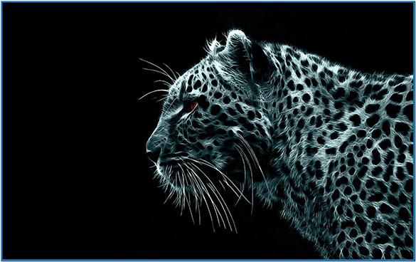 cool mac screensavers snow leopard