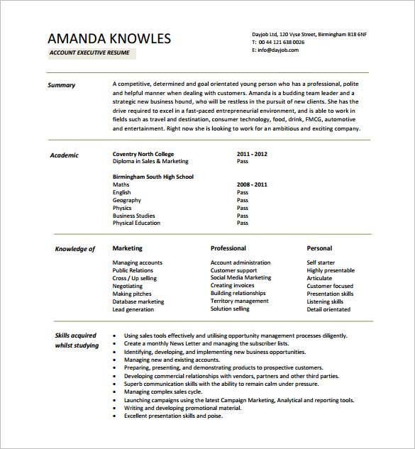 Executive Resume Template -16+ Word, Excel, PDF Format Download!