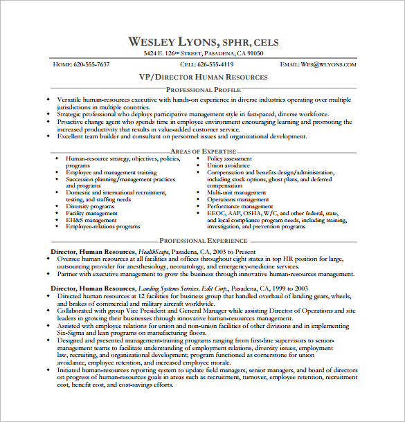 Executive Resume Template Word 25 Resume Templates For Microsoft Word Free Download Job