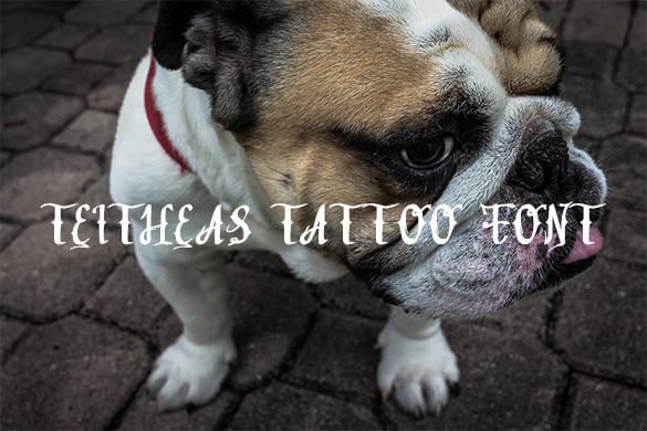 teitheas-free-tattoo-lettering-font