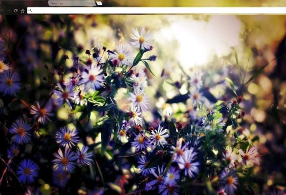 purple-flowers-chrome-background-free-download