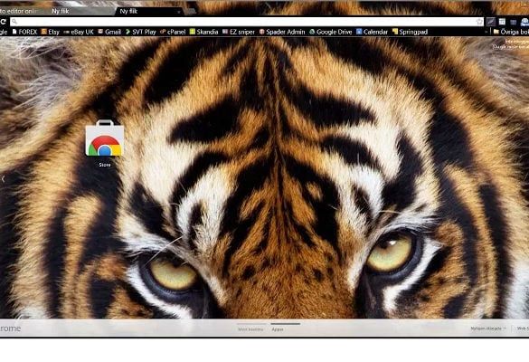 sumatran tiger theme background for chrome