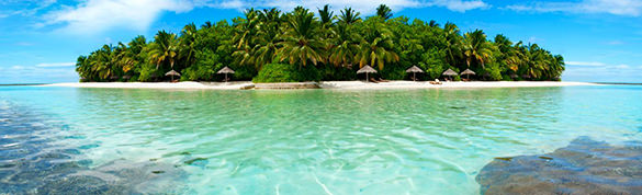 the cool island download linkedin background image