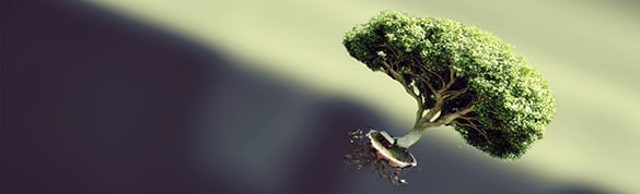 download floating tree linkedin background image