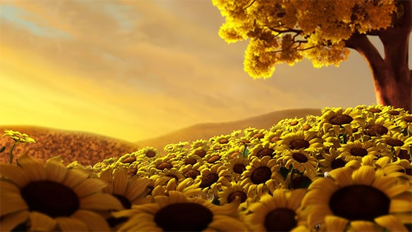 sun flower wallpaper for you
