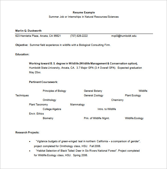 10+ Internship Resume Templates - DOC, Excel, PDF , PSD