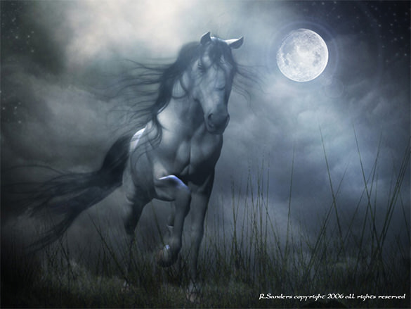 a wild moon fantasy art design