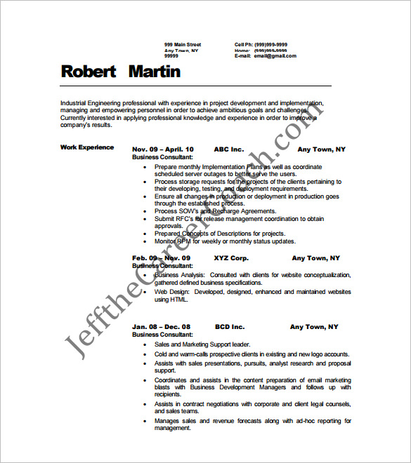 business plan consultant resume