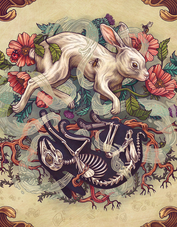 dust bunny illustration art