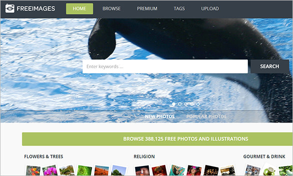 freeimages website for creative commons images