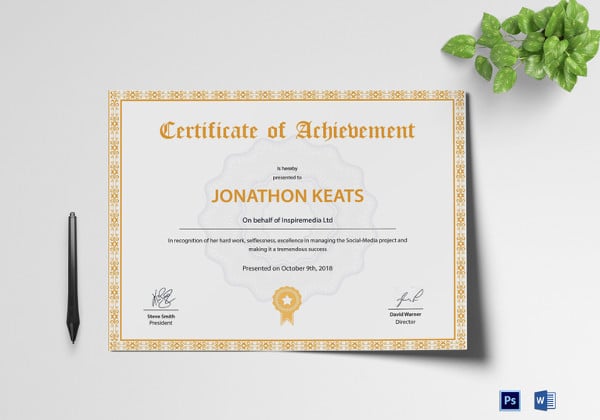 beautiful achievement certificate template