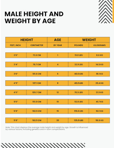 male height and weight conversion chart