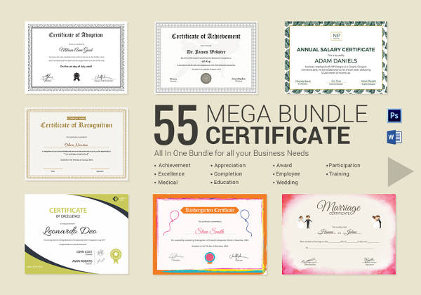 Certificate Template - 52+ Printable Word, Excel, PDF, PSD, Google ...
