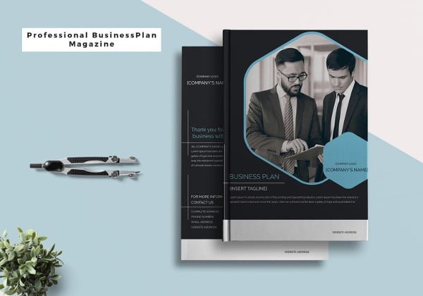 professional business plan magazine template