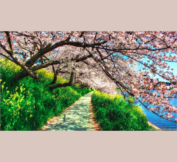 spring nature wallpapers