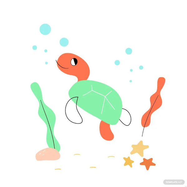 turtle illustration