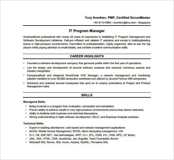 it program manager free pdf template