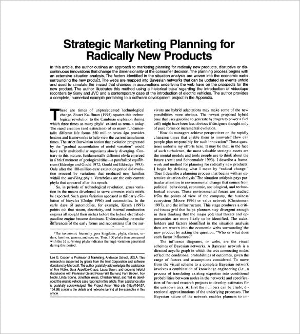 new product sales and marketing plan template