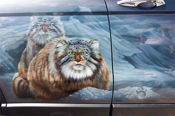 wild cat aerography design on car door