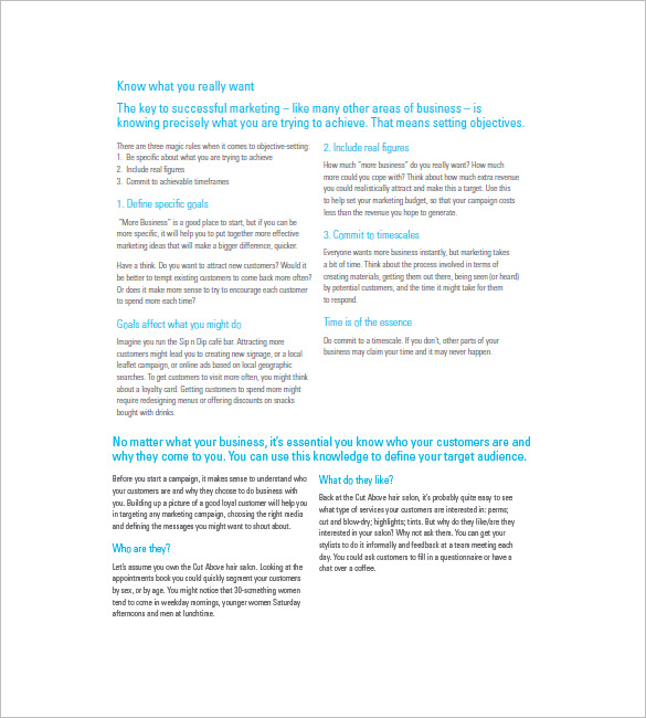 14 Marketing Campaign Plan Templates Docs Excel PDF