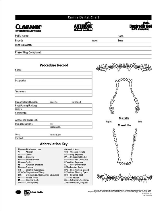 Dental Charting Symbols And Abbreviations