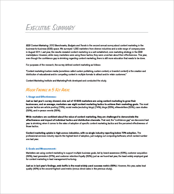 b2b marketing plan executive summary