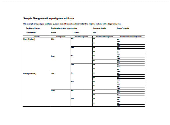 fifth generation pedigree chart free pdf template