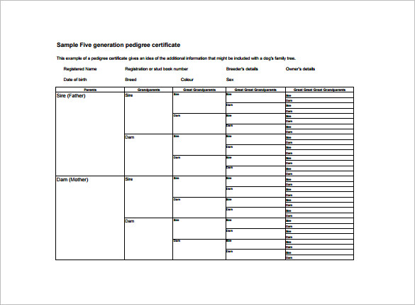 Pedigree Chart Template 9 Free Sample Example Format Download 