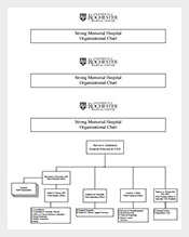 Free-Hospital-Organizational-Chart-PDF