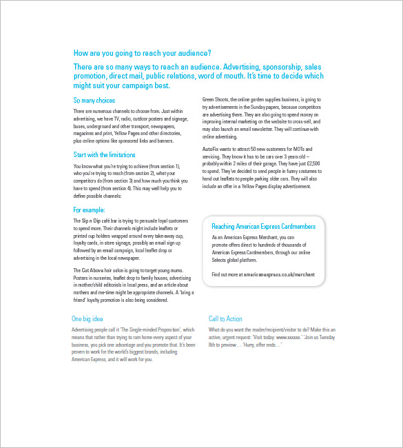 Marketing Campaign Plan Template 14 Free Sample Example Format 