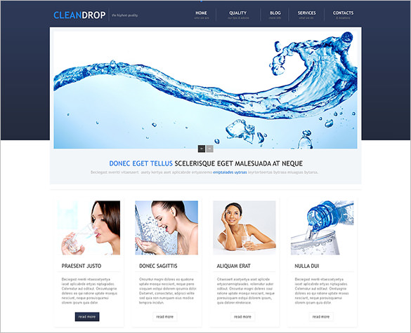 water delivery wordpress theme