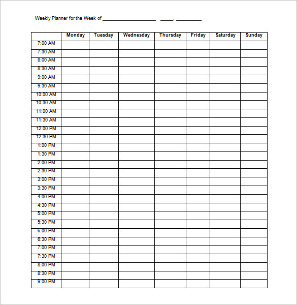 Weekly Daily Schedule Template