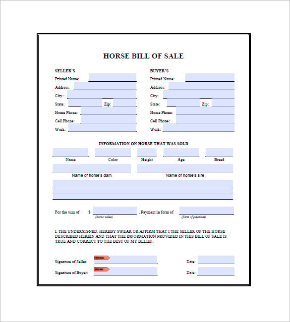 horse bill of sale template free