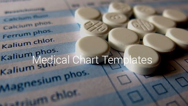 medical-chart-template-10-free-sample-example-format-download