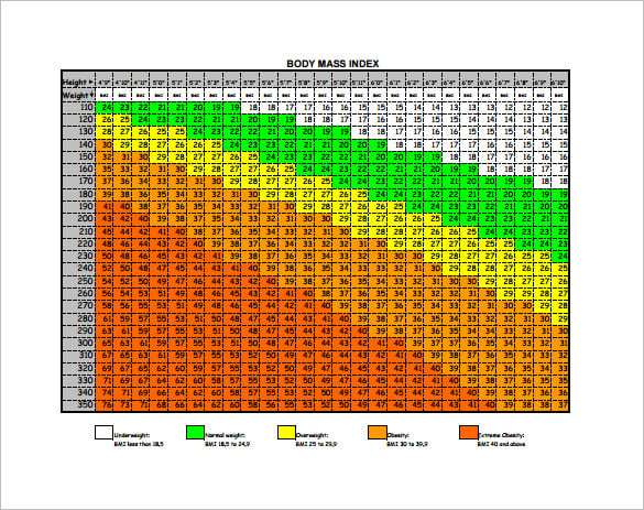 bmi color chart sample template download