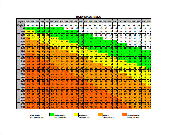 11 Bmi Chart Template Free Sample Example Format Download 