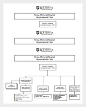 Free-Hospital-Organizational-Chart-Sample