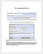 bill-of-sale-for-horse-purchase