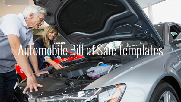 6+ Automobile Bill of Sale - Free Sample, Example, Format Download