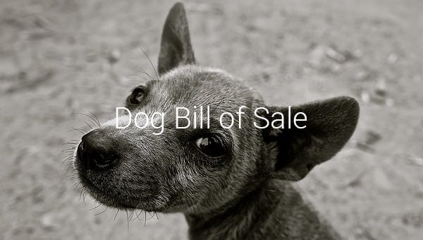 dog bill of sale