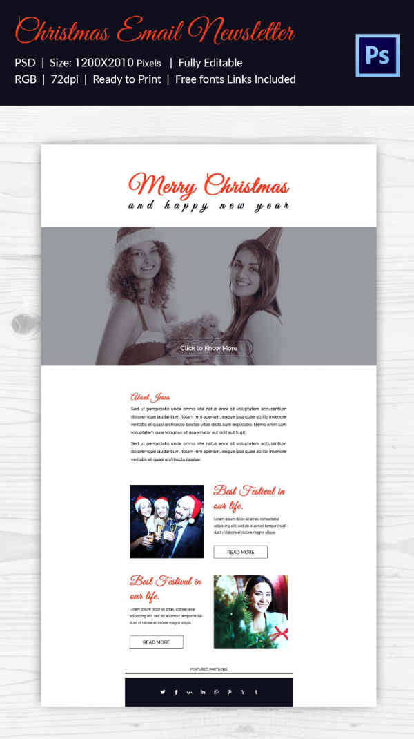 Christmas Email Template