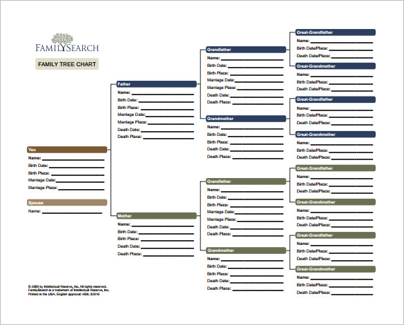 8 Generation Family Tree Template Free PRINTABLE TEMPLATES