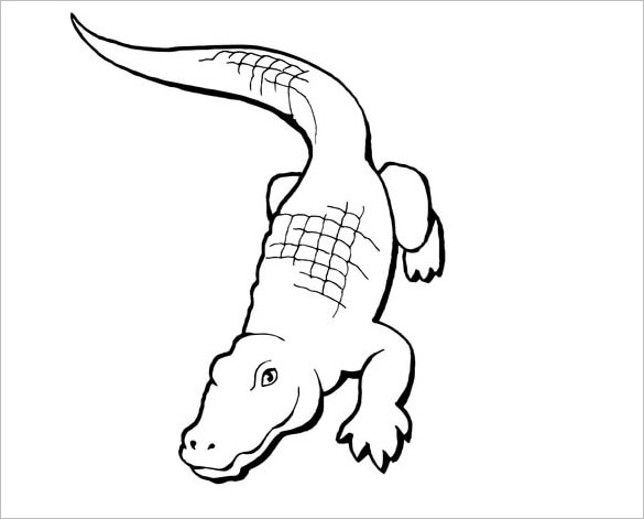 14+ Alligator Templates, Crafts & Colouring Pages