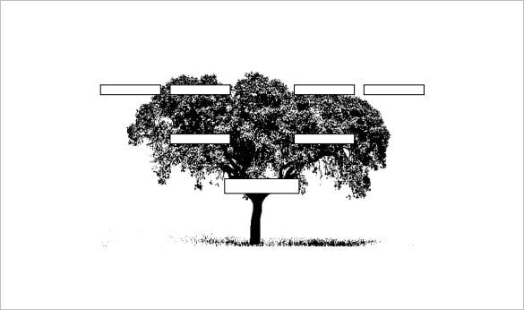 3-generation-family-tree-sample-pdf-free-download