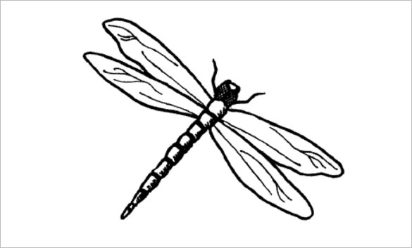10 Dragonfly Templates Crafts Colouring Pages