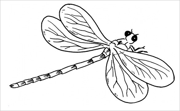 10+ Dragonfly Templates, Crafts & Colouring Pages