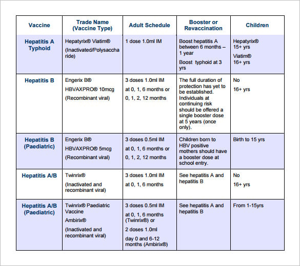 free-download-travel-vaccine-schedule-template-sample-pdf-format