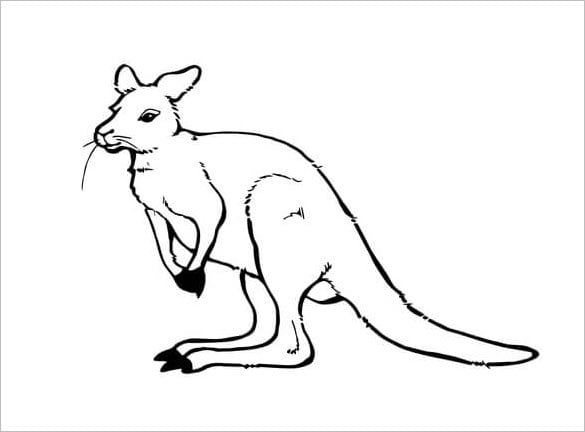 cute kangaroo template